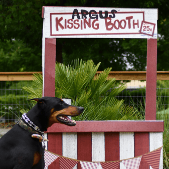 Argus kissing booth at TCB