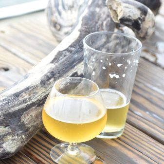 beer glasses next to drift wood